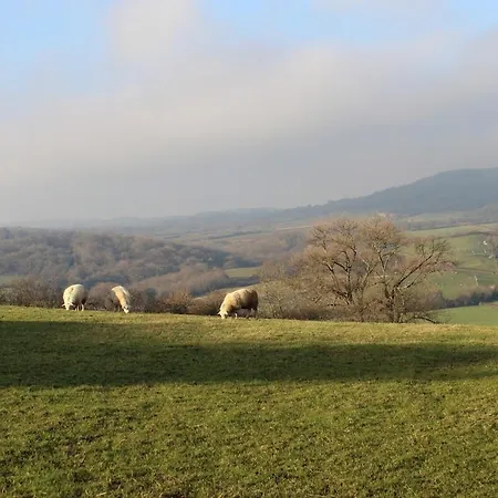 A Family In - 2d Lowdale Lane Sleights